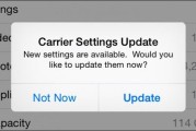 苹果手机运营商设置更新需要吗?