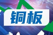 中国服装辅料上市公司