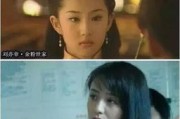 李小璐的惬意生活与贾乃亮的争议公众人物私生活的双面镜