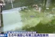 云南昆明丽江等地生活污水直排问题与整治挑战