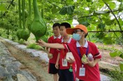 双牌：余名学子走进田间课堂体验农耕文化和生活