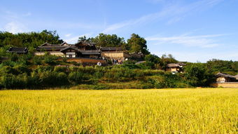 探秘农村，那些年少人不知的赚钱好项目，开启乡村振兴新篇章！