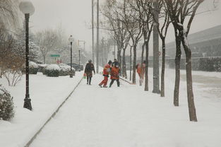 大范围降雪降温即将来临，如何应对并保护我们的环境？